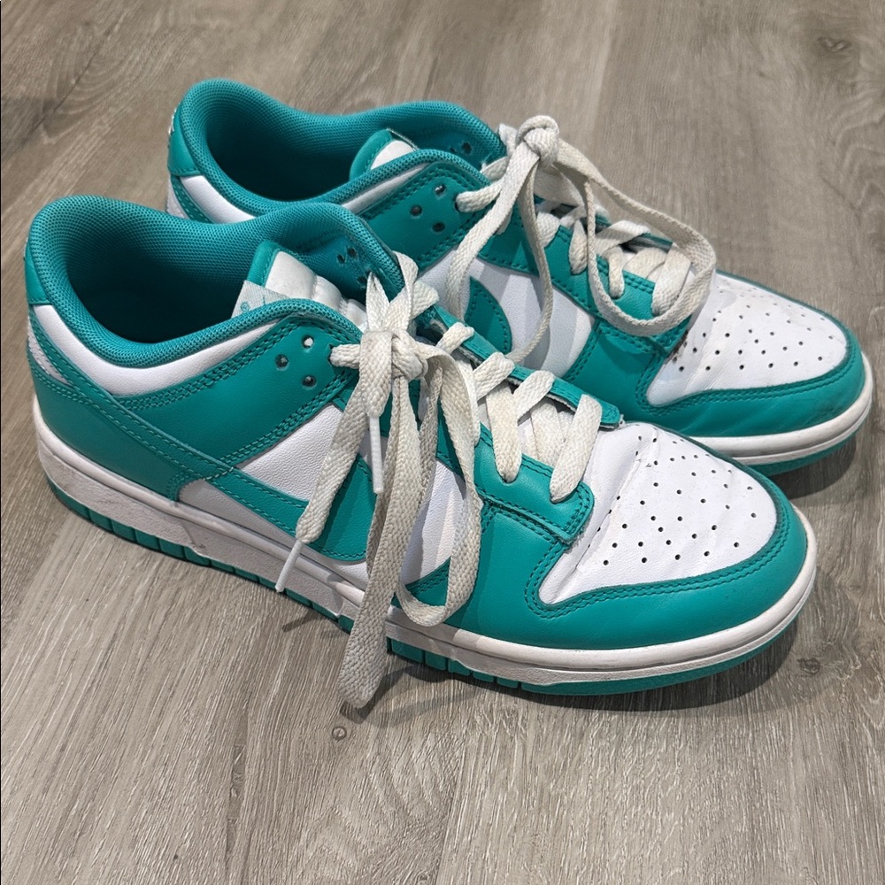 Nike Dunk Sneakers